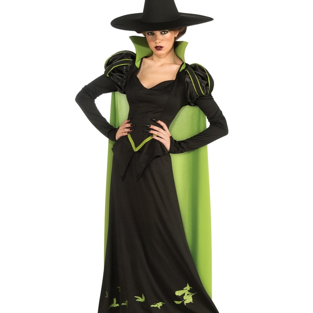 Wicked Witch Halloween Costume - ADULT ONE SIZE